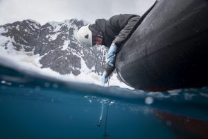 <p>Environmental DNA sampling in Paradise Harbour, Antarctica. By collecting floating DNA left behind by animals, scientists can improve their understanding of a region’s marine biodiversity. (Image © Abbie Trayler-Smith / Greenpeace)</p>