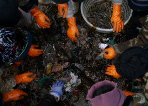 <p>Fishers in Shandong province sort fish and shrimps from debris caught in a fishing net. They often need to pick out their catch from plastic waste, wooden debris and abandoned fishing gear. (Image © Zhu Li / Greenpeace)</p>