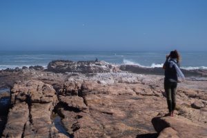 <p>海洋生物学家苔丝·格里德利站在南非西开普省布满岩石海岸上，透过望远镜搜寻可能已经死去的海狮。图片来源: <a href="https://www.barrychristianson.com/">Barry Christianson</a> / 中外对话海洋</p>