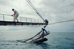 <p>A Chinese fishing vessel in the waters of Guinea-Bissau. The captain (left) and two local sailors (right) are trying to release a trapped net. (Image: © Liu Yuyang / Greenpeace)</p>