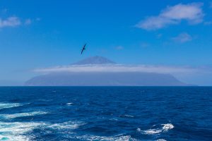 <p>南大西洋上的一个偏远岛屿——群特里斯坦-达库尼亚岛（Tristan da Cunha）。图片来源：Alamy</p>