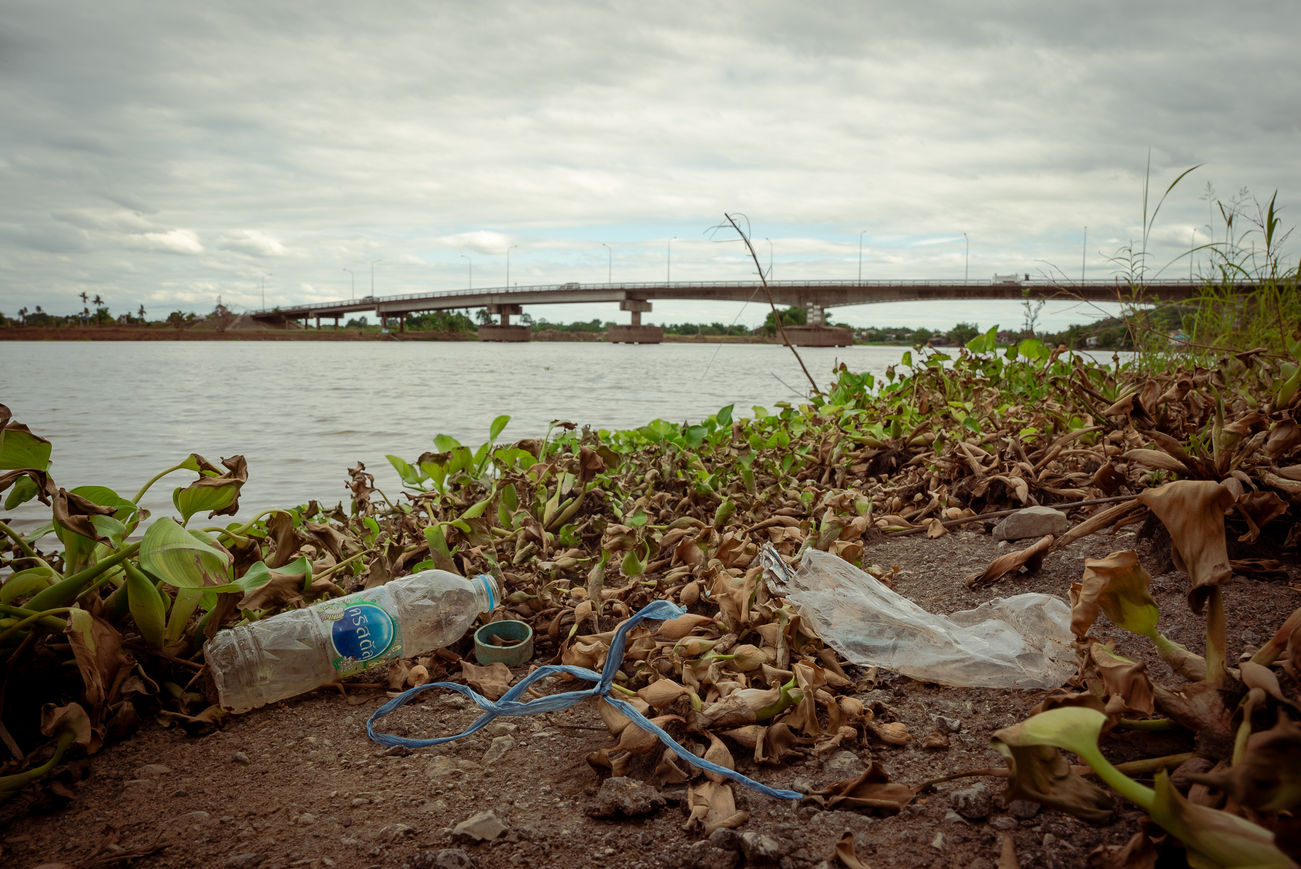plastic waste among low plants near river bank
