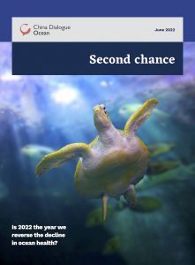 Second-chance-2022