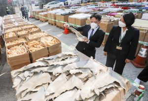 <p>2021年10月，中国香港海关查获了价值1.5亿美元的违禁品，其中包括鱼翅和鱼鳔。这是香港海关史上最大的一次违禁品查获。图片来源：Felix Wong / Alamy</p>