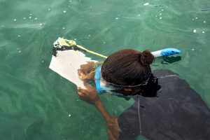 <p>Sylvanna Antat, a marine researcher with the Seychelles National Parks Authority, mapping coral reefs. The small island state is one of a growing number of countries that reference ocean solutions in their climate plans submitted to the UN. (Image: <a href="https://www.flickr.com/photos/unwomen/35899416981/in/album-72157684233266610/">UN Women</a>/Ryan Brown, <a href="https://creativecommons.org/licenses/by-nc-nd/2.0/">CC BY-NC-ND 2.0</a>)</p>
