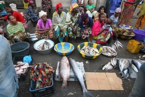 <p>西非几内亚的妇女在港口市场上贩卖渔获。从水产养殖到加工和销售，妇女在渔业的各个环节都发挥着积极的作用，但几乎被忽视。图片来源: © Steve Morgan / Greenpeace</p>