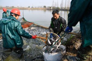 <p>Financial institutions could be doing more to integrate sustainability standards into their processes, while managing environment-related financial risks for themselves (Image: Xinhua / Alamy)</p>