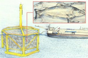Illustration of China’s Deep Blue 1 offshore fish farm