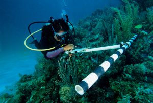 diver examining coral reef with scientific equipment and clipboard